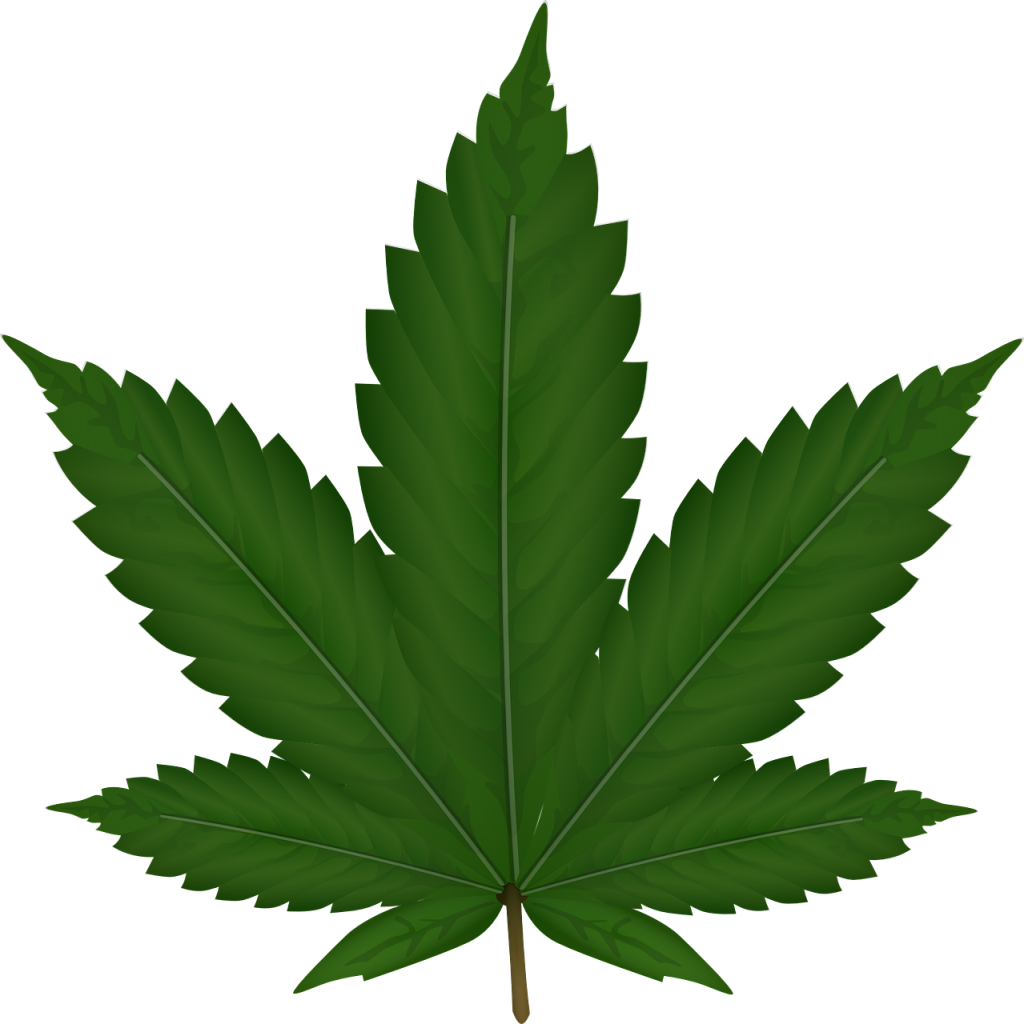 Marijuana leaf.