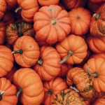a gathering of small pumpkins