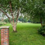 Campus Recovery Committee